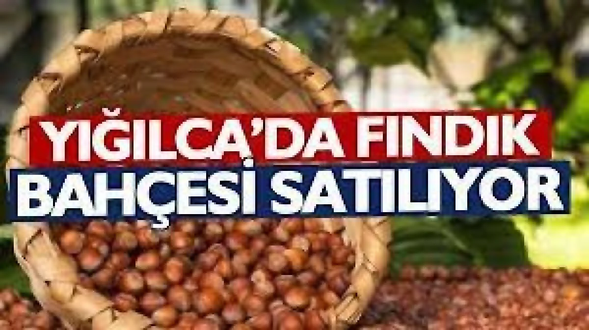 Yığılca'da üzerinde yapı bulunan taşınmaz icradan satılıktır